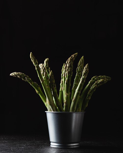 Green asparagus on a black background with copy space