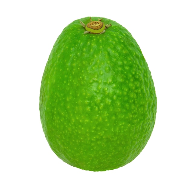 Foto avocado verde isolato su uno sfondo bianco fotografia di stock