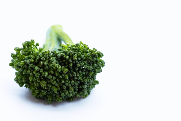 Green baby broccoli on white background