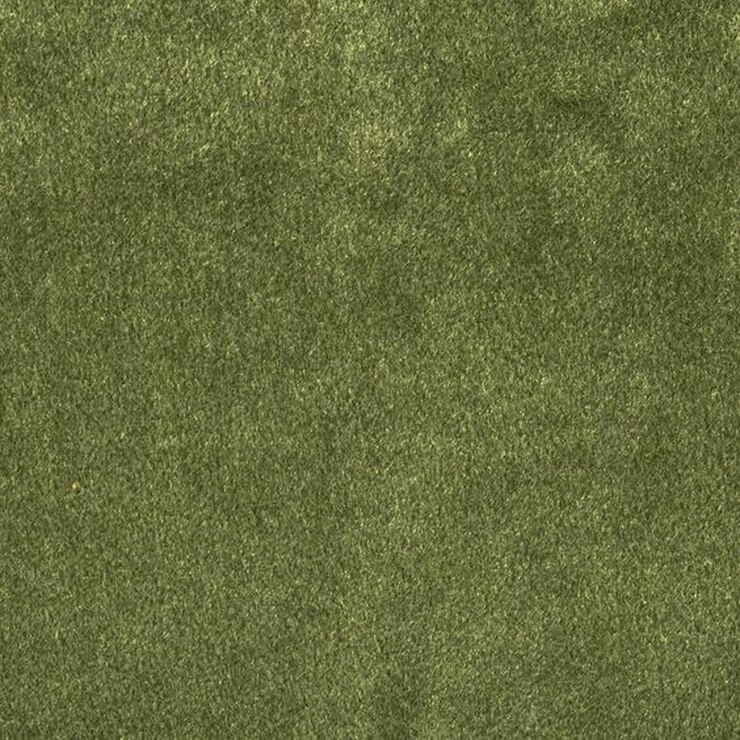Photo a green background with a pattern of a carpet that says quot no one is allowed to be a green quot