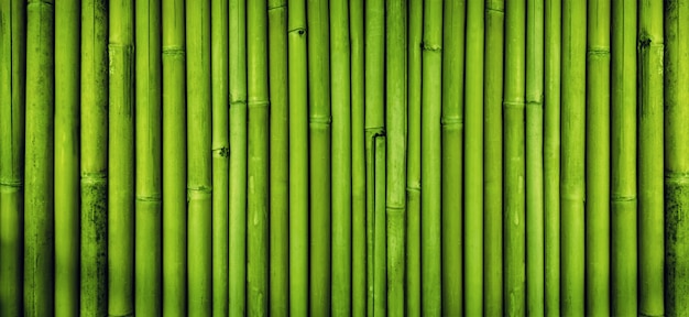 Photo green bamboo fence texture, bamboo background