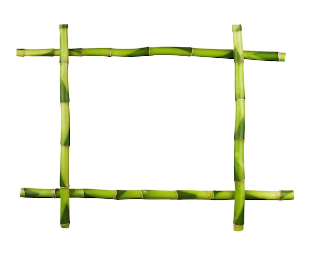 Green bamboo frame isolated. Closeup.