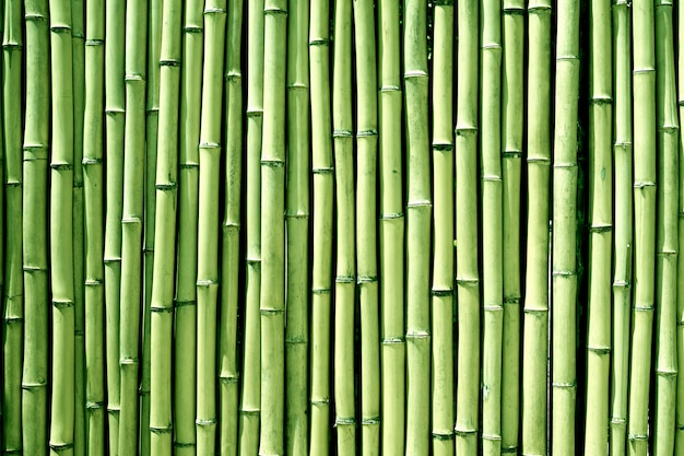 Green bamboo wood wall background texture