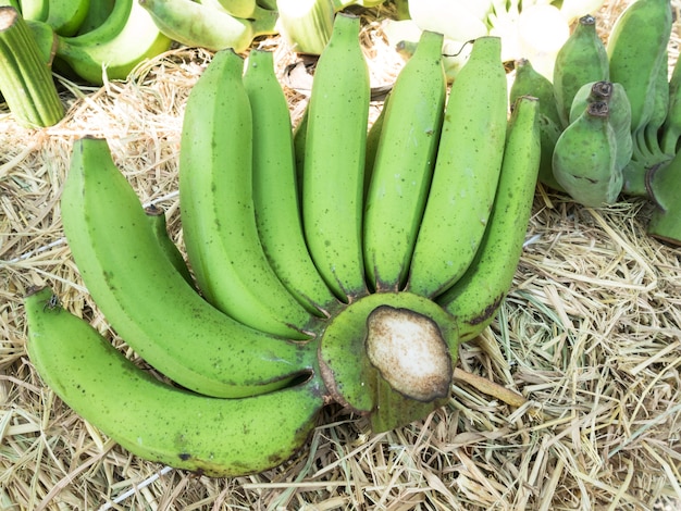 Green banana