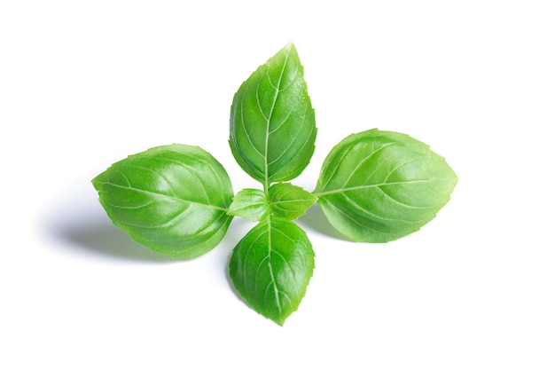 Photo green basil leaves isolated on white background