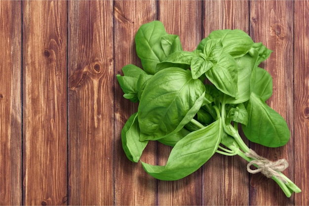 Green basil leaves on wooden background