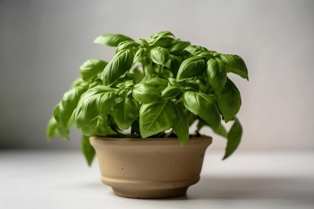 Green basil in a pot top view Generative AI