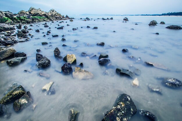 緑のビーチ自然の海の風景