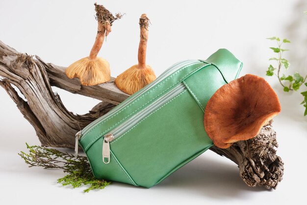 Green belt bag made of eco-leather on a snag, vegan leather from mushroom mycelium concept