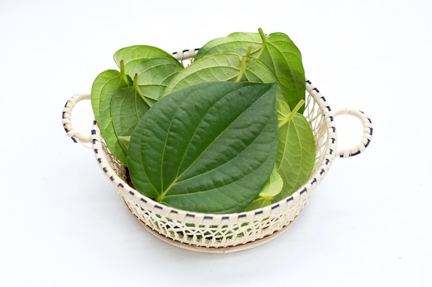 Green betel leaves, Fresh piper betle in bamboo basket on white background