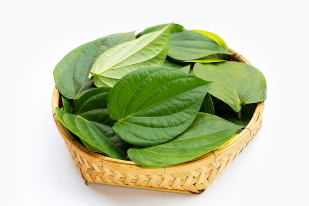 Green betel leaves, Fresh piper betle in bamboo basket on white background