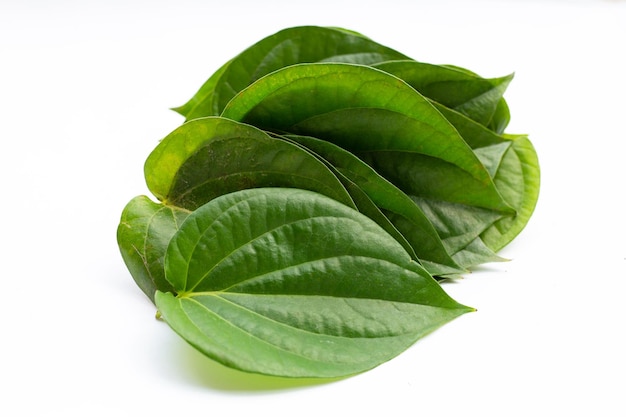 Green betel leaves, Fresh piper betle on white background