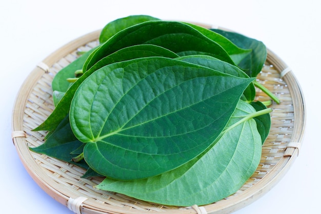 Photo green betel leaves fresh piper betle on white background