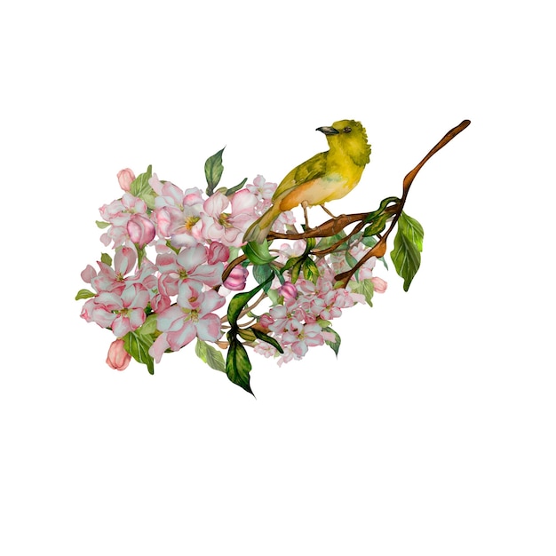 Green bird on branch watercolor illustration on white background Tit titmouse blossom tree