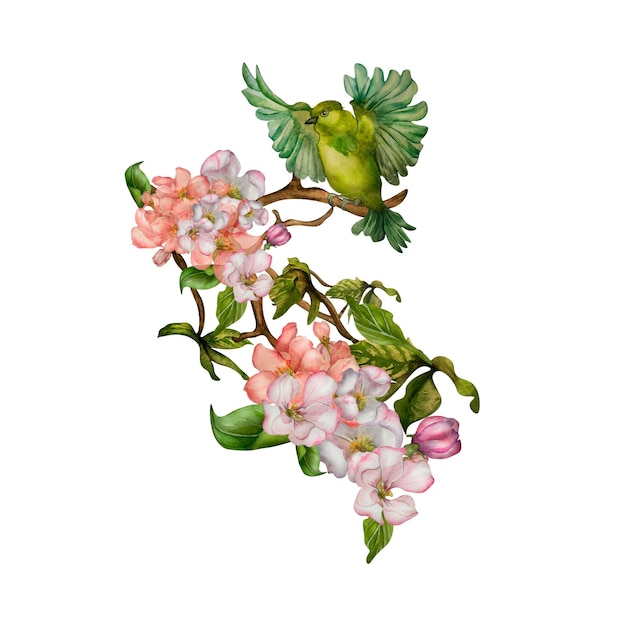 白い背景の上の緑の鳥の飛んでいる春の水彩イラスト
