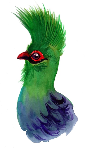 Green bird head on white background Ink and watercolor drawing