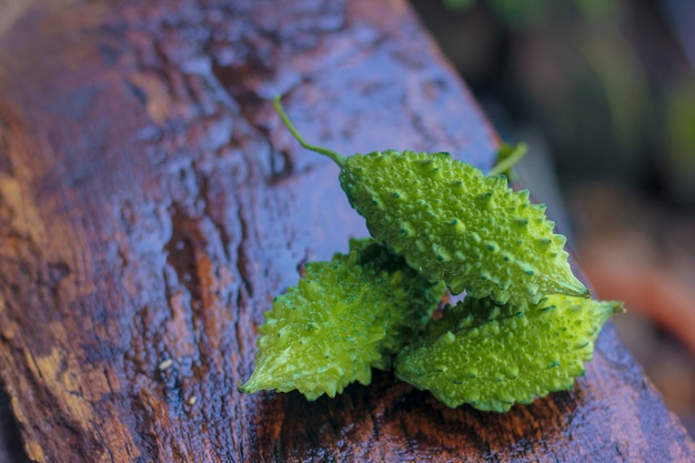 Green Bitter melon