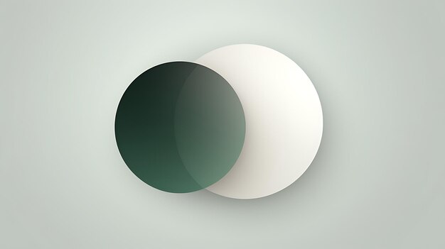 a green and black circle with a white background