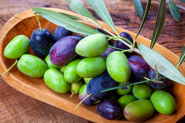 Green and black olives straight from the tree