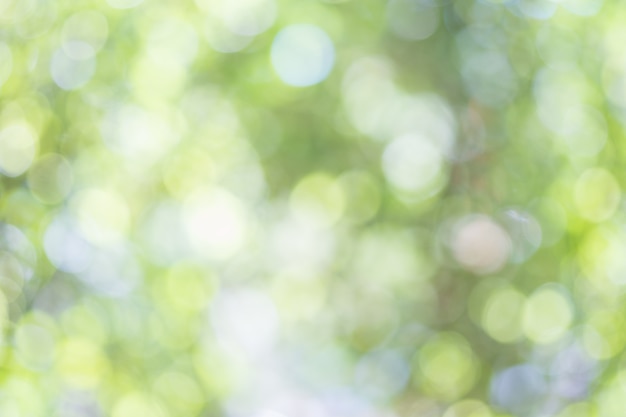 Green blur bokeh