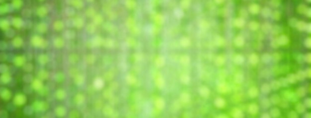 ボケ味を持つ LED 電球の緑のぼやけた背景 ホリデー イルミネーション ネオン光沢のあるデフォーカス背景