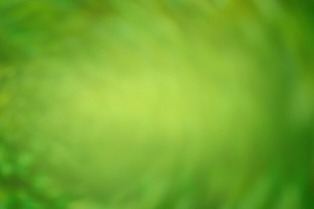 Green blurred bokeh out of focus background Green abstract blurry backdrop image