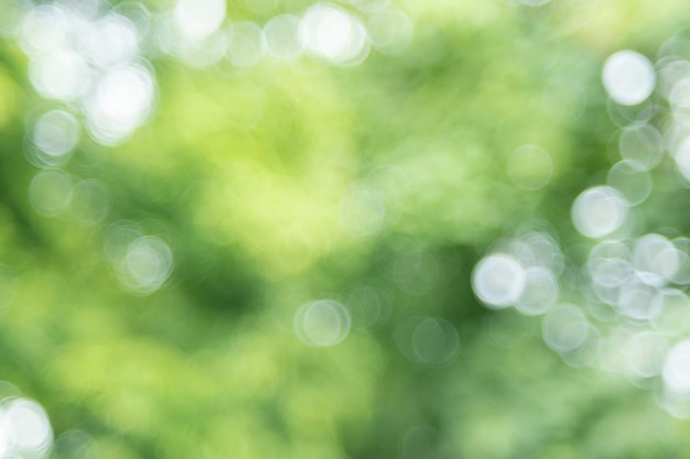 Green bokeh abstract background