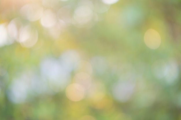 Green bokeh abstract background