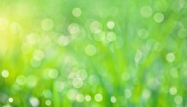 Green bokeh background