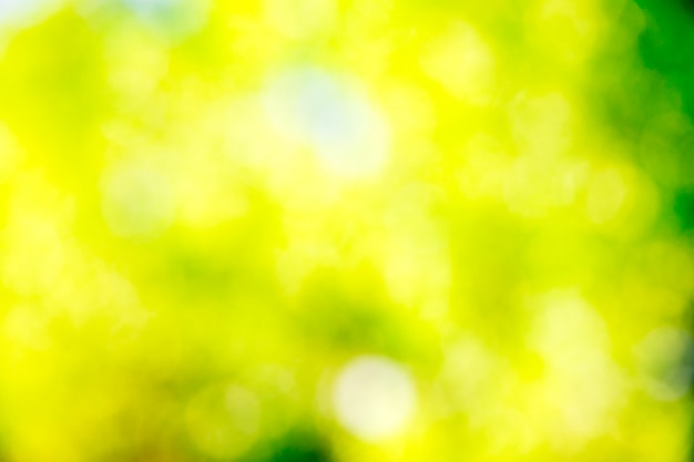 Green bokeh background