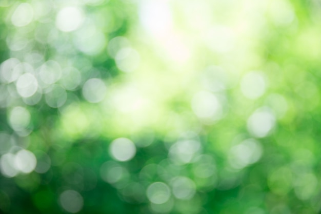 Green bokeh background