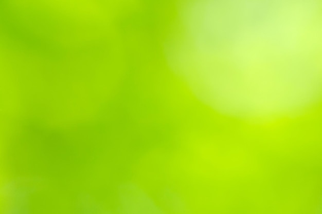 Green bokeh background