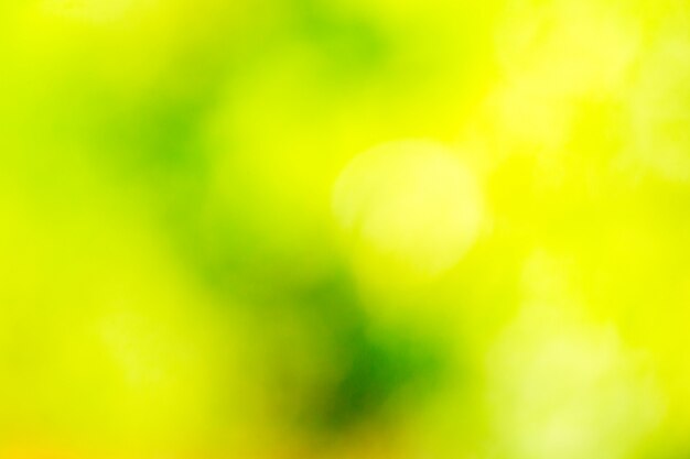 Green bokeh background