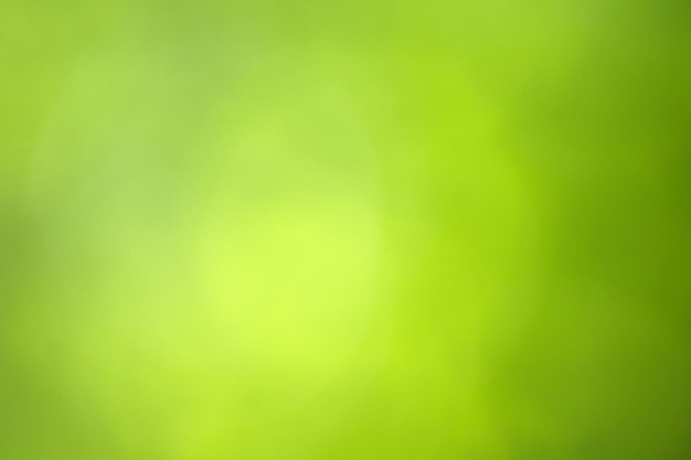 Green bokeh backgroundgreen bokehgreen bokeh abstract