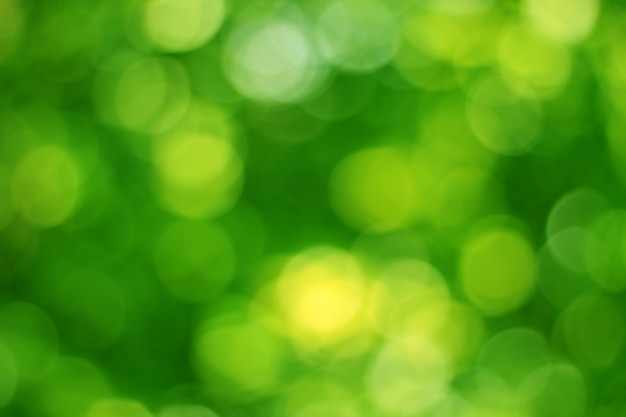 Green bokeh effect background