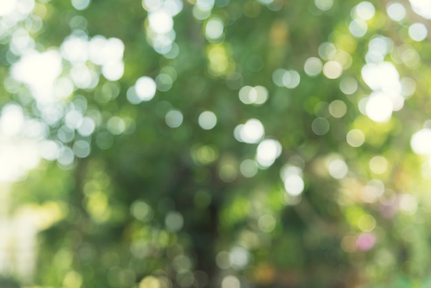 Green bokeh from nature blurred and defocus. Close-up art abstract background.