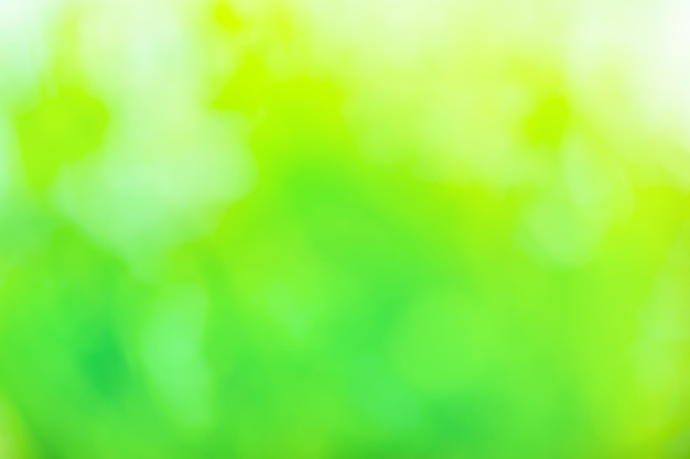 Green bokeh out of focus background Green olive blur abstract background