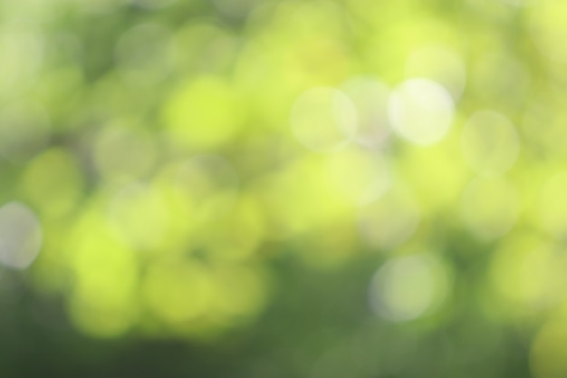 Green bokeh texture background , soft blur