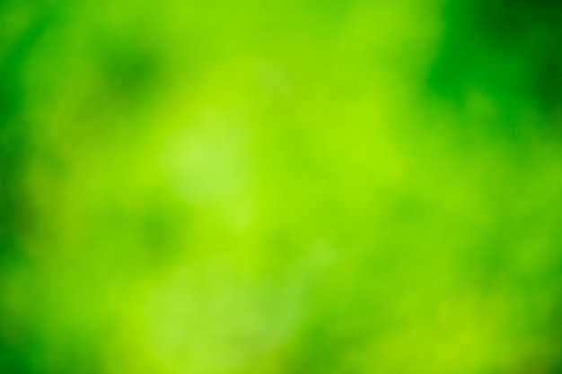 Green bokeh