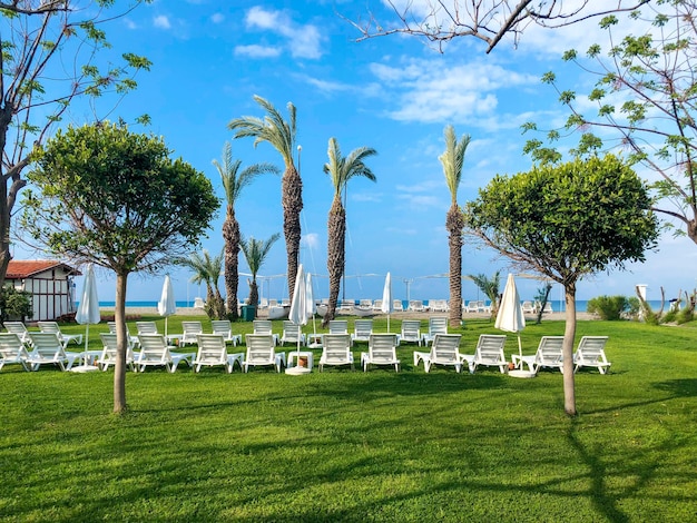 Green botanical eco beach area at the hotel on the Mediterranean coast.