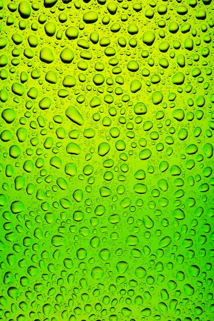 Green bottle beer texture