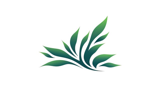 Green branch logo isolated on a white background