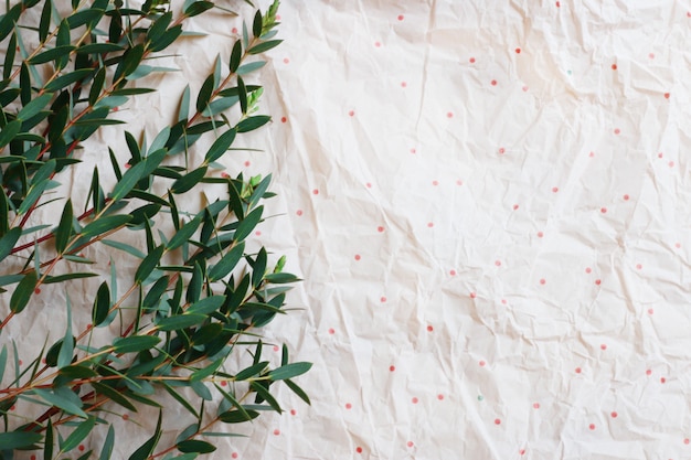 Green Branch on a Soft Drumpled Paper