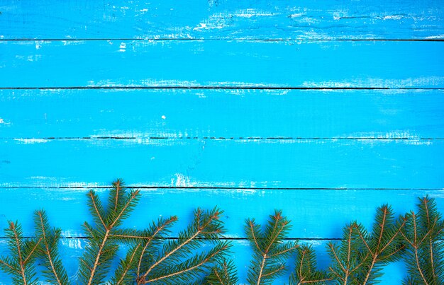 Green branches of needles on a blue background from shabby boards