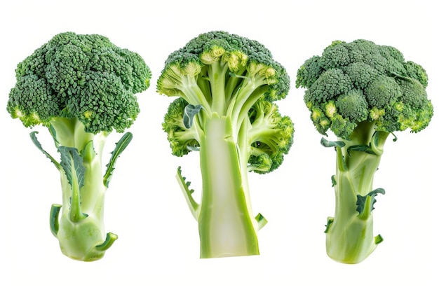 Green Broccoli Set