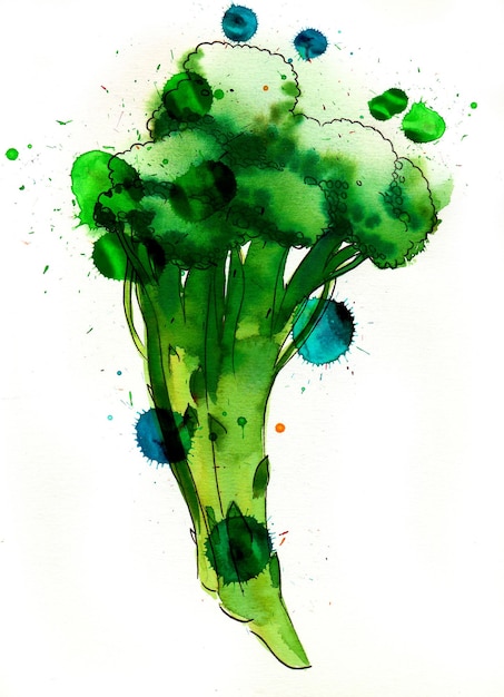 Green broccoli on white background Handdrawn ink and watercolor with splatters on paper