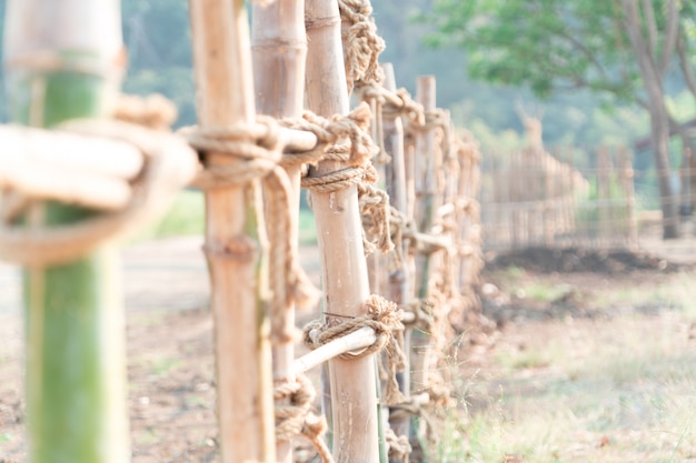 green and brown bamboo fence on the field