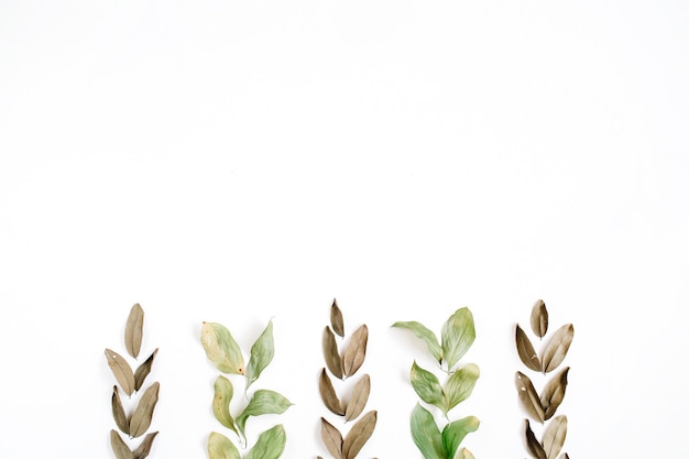 Green and brown leaves on white surface