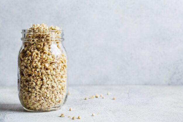 Green buckwheat seedlings in glass jar. Raw vegan food concept.