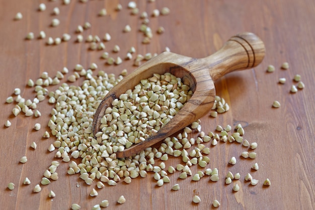 Green buckwheat